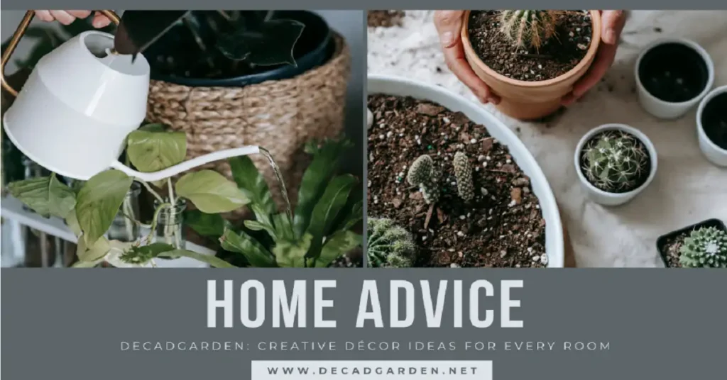 home advice decadgarden