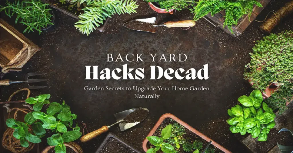 backyard hacks decadgarden